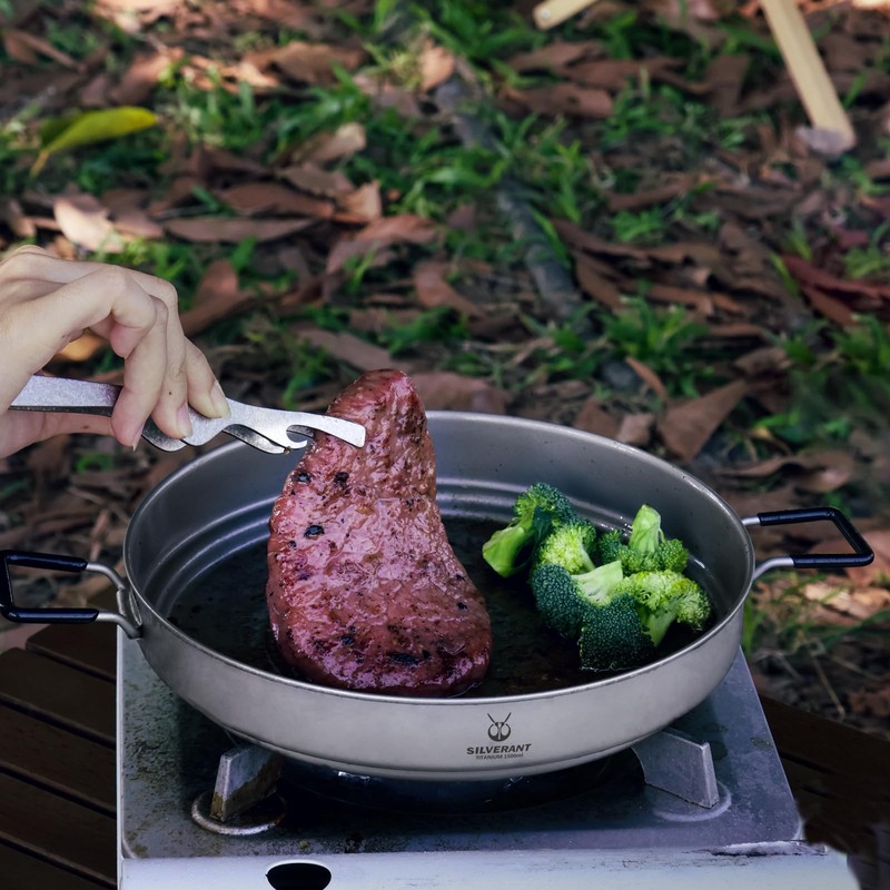 SILVERANT Titanium Camping Plates, Outdoor Dishware with Folding Handle Portable