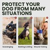 BRONZEDOG Pitbull Dog Muzzle Breathable Metal Basket for Large Dogs