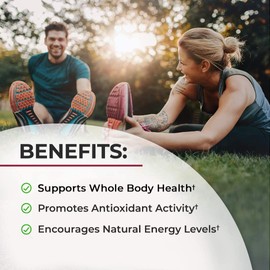 Sugar Free Beet Root Gummies - Nitric Oxide Gummies Infused with Coconut Oil for Highest Absorption - Supports Energy & Whole Body Health - Delicious Strawberry Flavor - 120 Count (60 Day Supply)