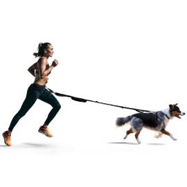 FITLY Dog Running Waist Belt - Running Dog Lead - Canicross Harness Carry Personal Items Running, Walks, Hikes - Waist Leads for Dogs with Belt Pouch, Converts into Canicrossing Line - Emerald Blue