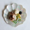 Dolce Duo DAM-030 Shell Plate Plate Glass Aurora Color Seashell