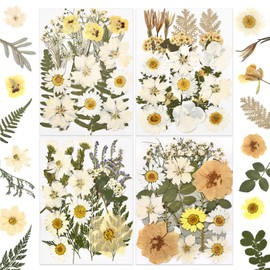 DALARAN 85Pcs White Dried Pressed Flowers for Resin Molds Real Pressed Flowers Dry Leaves Kit for Art Crafts Resin Jewelry Making Scrapbook Supplies Card Making Soap Candle DIY