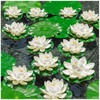 WhistenFla 16Pcs Artificial Floating Pool Flowers, 6Pcs 7in & 10Pcs