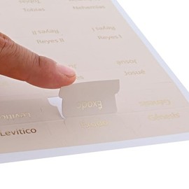 Saggezza, Separadores de Biblia, Beige, 80 Pestaas para la Biblia Laminadas Doradas en Espaol, Regalo Cristiano, Antiguo y Nuevo Testamento (Beige)   