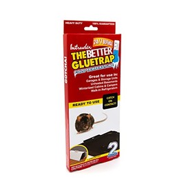 Intruder 17515 The Better GlueTrap-Cold Temperature Glue Trap, Large, Black