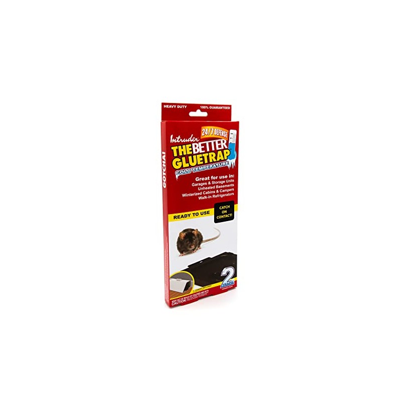 Intruder 17515 The Better GlueTrap-Cold Temperature Glue Trap, Large, Black