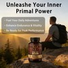 Primal Edge Bison, Primal American Bison Extract Capsules – 60