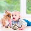 SunGrow Assorted Rabbit & Cat Chew Balls, Teething Activity Toy