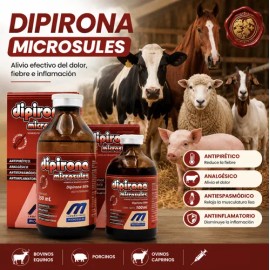 Dipirona 50% Promo Set 250 +100ml Solucion Analgésico Animal