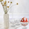 SOUJOY 6 Pack Acrylic Ice Cream Bowl, 210ml Clear Footed