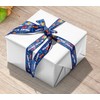 Purim Ribbon for Gift Wrapping - Satin Ribbon 1 Inch