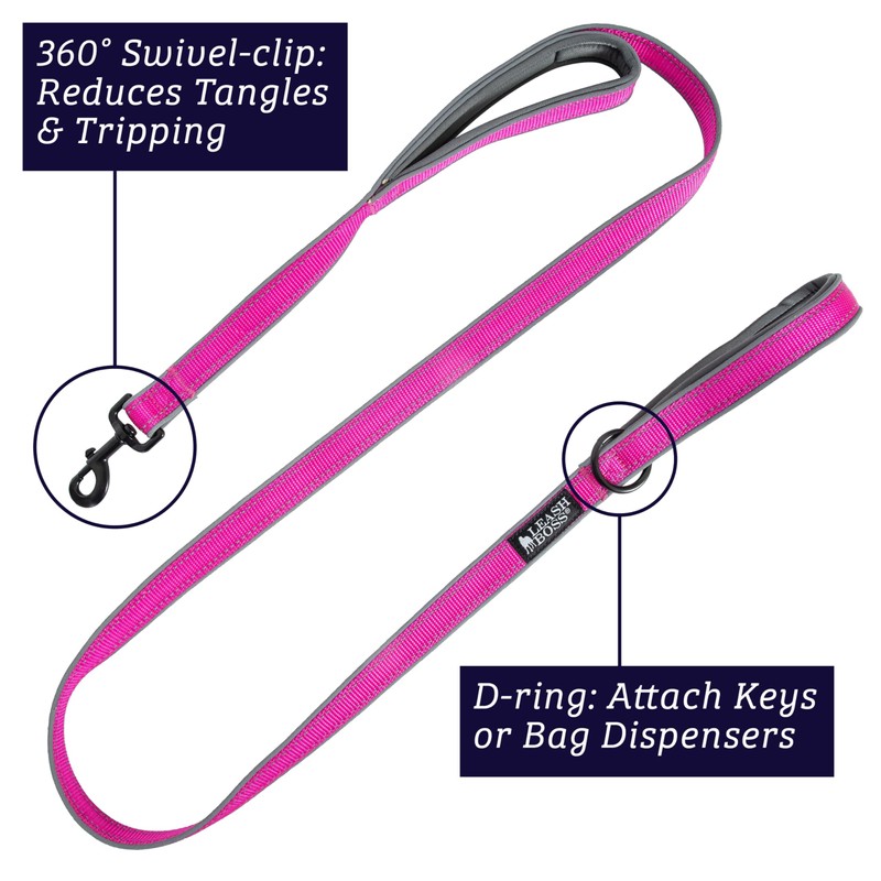 Leashboss Double Handle Dog Leash, Pattern Collection, 6Ft Reflective Dog