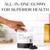 Auri Super Mushroom Daily Gummies - All-in-One Daily Mushroom Supplement