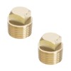YINETTECH 2 Pcs 1/2 Inch NPT Boat Drain Plug Solid