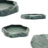 SLSON Small Reptile Feeder Terraium Bowl Plastic Shallow Reptile Feeder