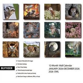 2026 Wall Calendar,Owl Calendar 2026,OWL Monthly Wall Calendar, 12" x 24" Open,Family Planner Calendar, Home & Office Organizer,Hangable