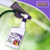 Bonide 2071 917403 Rts Fruit Tree and Plant Guard, 32