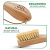 Atzi Hats Laundry Brush Stain Remover Scrubber with Soft White