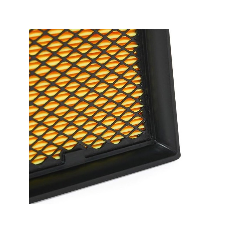 RIDEX PLUS 8A0251P Engine Air Filter || Air Filter Insert,