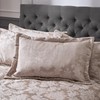 Catherine Lansfield Damask Jacquard Quilted Pillow sham Pair Champagne Gold