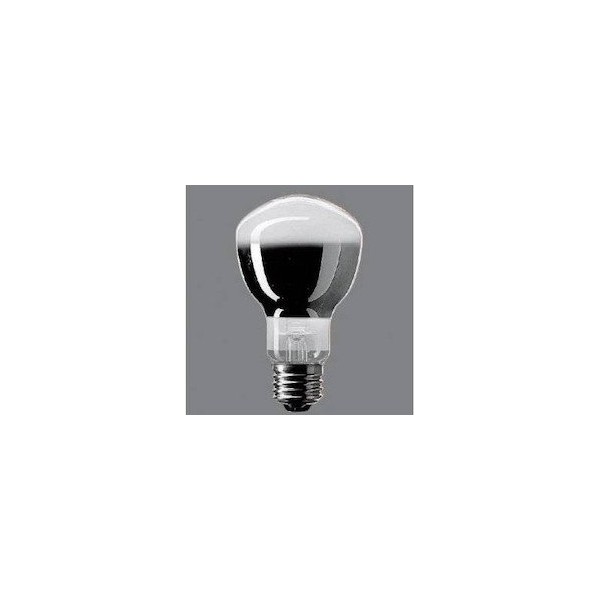 Panasonic Electric Light Bulb [Part Number] (P) KRD100V60WD