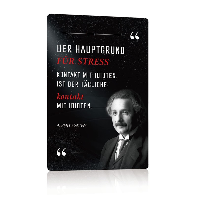 Set of 5 Metal Signs Albert Einstein Sayings Retro Sign
