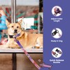 Pawview Dog Collar and Leash Set with QR Code ID