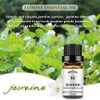 yethious Jasmine Sandalwood Essential Oil 100% Pure Organic Essential Oil