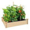 Greenes Fence Rc4s4b Cedar Raised Garden Kit, 5-1/2"x48"x48"