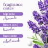 Gel De Baño Dove Relax Con Aceite De Lavanda Y