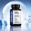 Suplemento Nad Hombre 1000 Coq10 Resveratrol