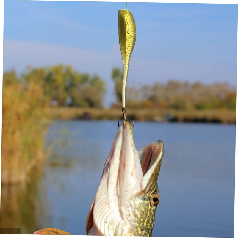BIUDECO Complete Bass Fishing Gear Set with Bait for Bass