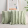 DEELAND Pack of 2,Double-Sided Faux Fur Plush Decorative Throw Pillow