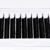 Lunamoon 4D Eyelash Extension, Premade Fans W Lash, Pre-Fanned Ready-to-Use