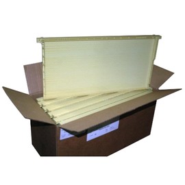 Mann Lake Premium Beekeeping Frames, All-in-One Frame & Foundation, Beeswax Coating, Universal Fit, BPA & BPS Free, 9 1/8 Inches, Natural, 10-Pack