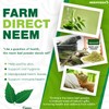Neemveda Neem Leaf Powder 100 Grams (Azadirachta Indica) for Eating,