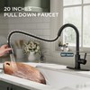 QFN Black Kitchen Faucet with Pull Down Sprayer, High Arc