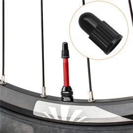 YPYMOD 20 Pcs Bicycle Presta Valve Caps, Tyre Valve Caps Presta Valve Caps, Dust Caps for Bikes Bicycle Tire Valve Cap Dust Covers for Mountain Bike Road Racing Bicycle(Black)