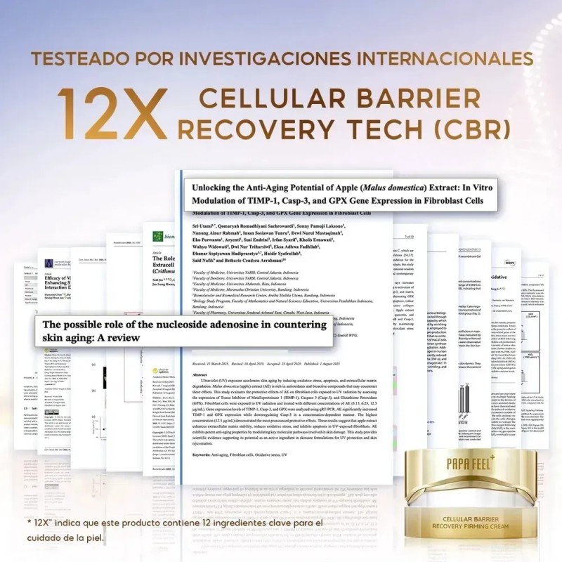 Papa Feel Facial Crema Reparadora 12x Antiarrugas 50g Sensible Día/noche