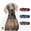 Therapy Animal Collar (Extra Large, Red)