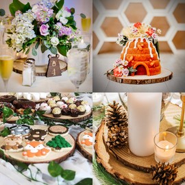 Set of 10 Wood Slices for centerpieces! Wedding and Baby Shower centerpieces (Set of 10 Medium (9-11"))