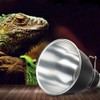 300W Ceramic Heat UVA UVB Reptile Heating Lamp Stand Pet