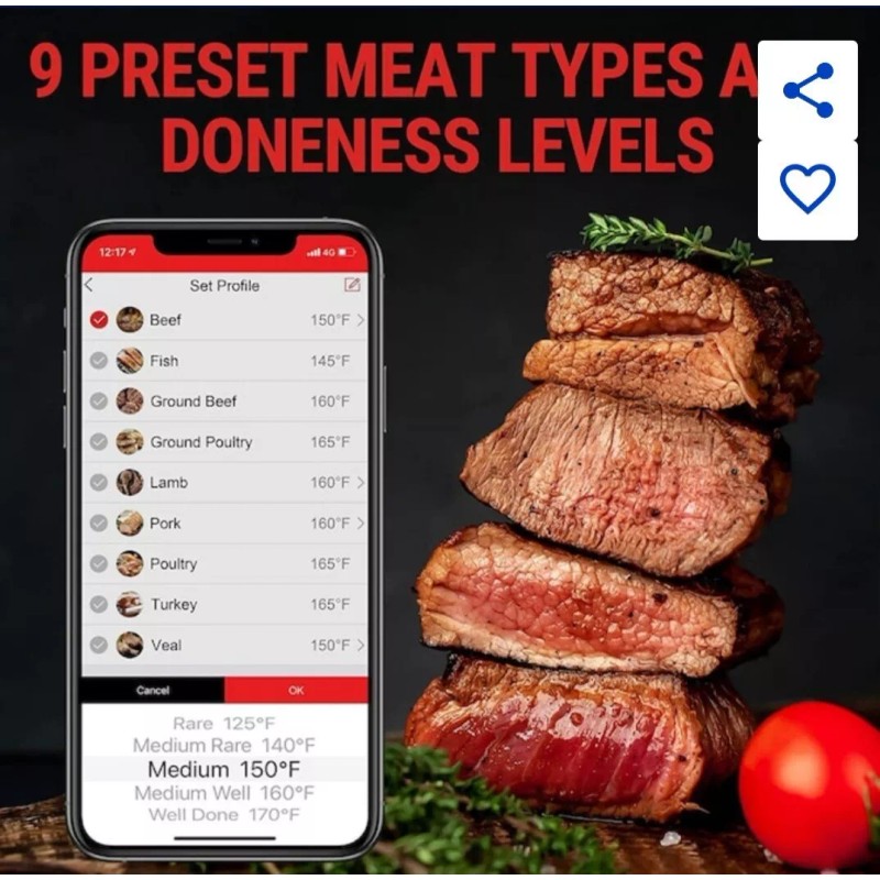 ThermoPro TempSpike Wireless Bluetooth Meat Thermometer By ThermPro