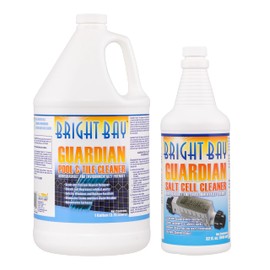 Guardian Pool & Tile Cleaner (1 gal) & Salt Cell Cleaner (32 oz.) - Non-abrasive, Saves Elbow Grease