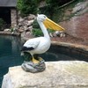 Homestyles 20 in. Pelican on Ocean Coastal Rock Collectible Beach