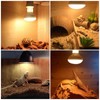 SCNNC Reptile Heat Lamp Basking Spot 100 W E27 R80
