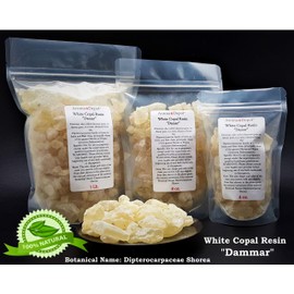 4 oz White Copal Tree Sap Known as Dammar Gum Incense I Incienso de goma de savia de árbol de Copal Blanco