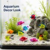 24 Plastic Fish Figures with Realistic Design – Ocean Animal
