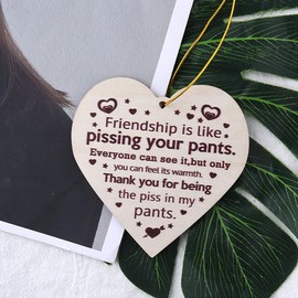 Best Friend Ornaments for Christmas Tree Friendship for Best Friend Bestie Thank You Gifts for Friends Friendship Ornaments Gifts for Women Men Best Friend Appreciation Gifts