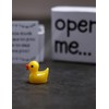 funfeel I Love You Gift, Duck Gift, Matchbox Gift, Gift